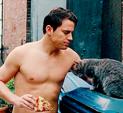 eating-pizza-with-a-cat3.gif